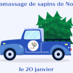 Ramassage de sapins de Noël