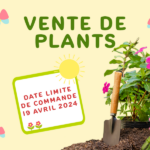 Vente de plants