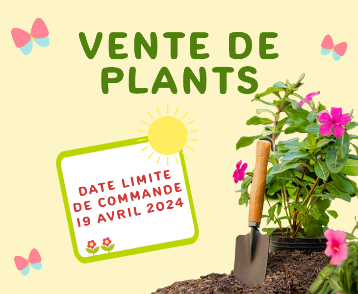 Vente de plants