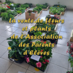 Vente de fleurs par l'association des parents d'élèves 2024