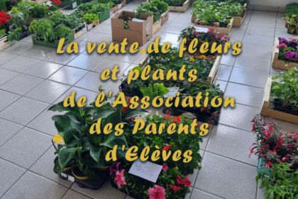 Vente de fleurs par l'association des parents d'élèves 2024