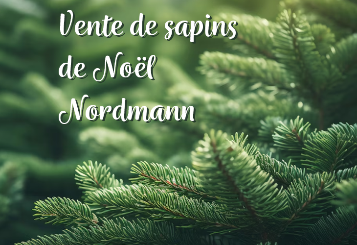 vente de sapin de Noel