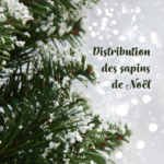 Distribution des sapins de noël