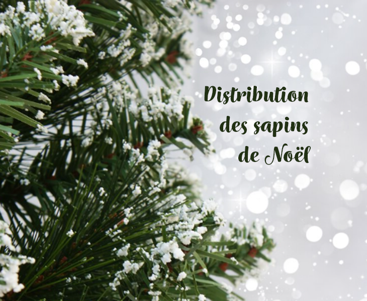 Distribution des sapins de noël